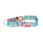 CaroWideMartingale dog collars
