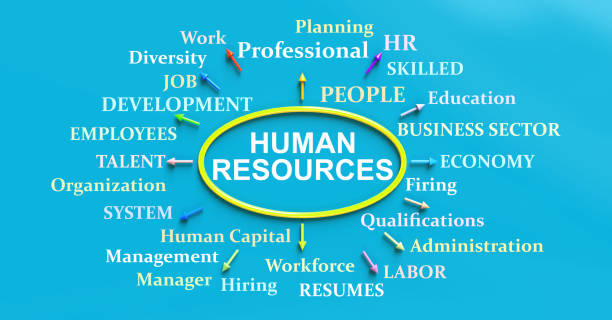 How to Cite HR Research Sources in CIPD Assignments