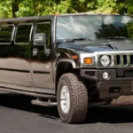 Limousine Service in Edison