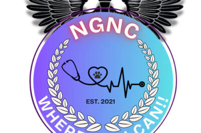 NCLEX Review Classes Online – Ace Your Exam with Expert-Led Prep