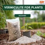 Why Vermiculite for Plants Is a Game Changer for Gardeners