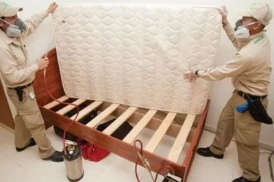 A Homeowner’s Guide to Safe and Effective Bed Bug Solutions