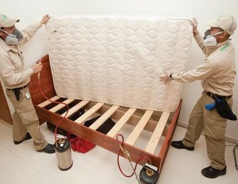Two technicians lift a mattress while performing bed bug removal and treatment on a wooden bed frame