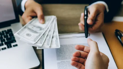 Purple Tree Funding for online stores