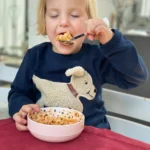 hund-bobby-shirt-navy-blue-langarm-887227