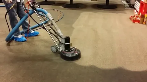 best carpet cleaner Commerce GA