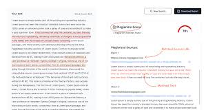 Why Using a Verificador de Plagio Online Matters in Today’s Digital World