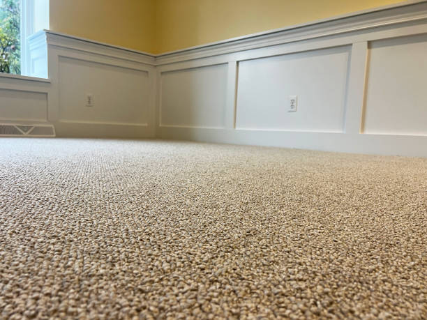 carpet cleaning Ashburn