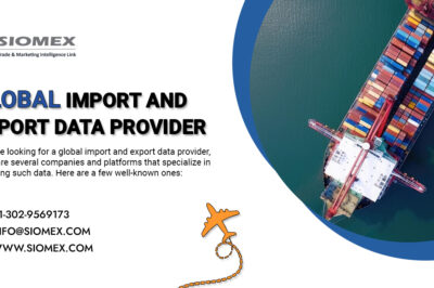 How Export Data Helps Identify Genuine Global Buyers