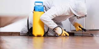 termite control services in Lahore