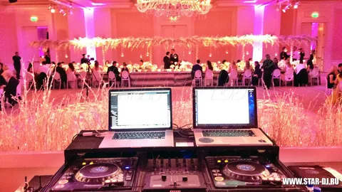 Wedding DJ Services