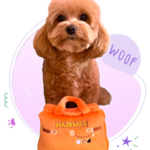 Stylish Pet Bags UAE | Luxury by Paw Maison