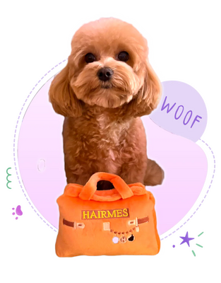 Stylish Pet Bags UAE | Luxury by Paw Maison