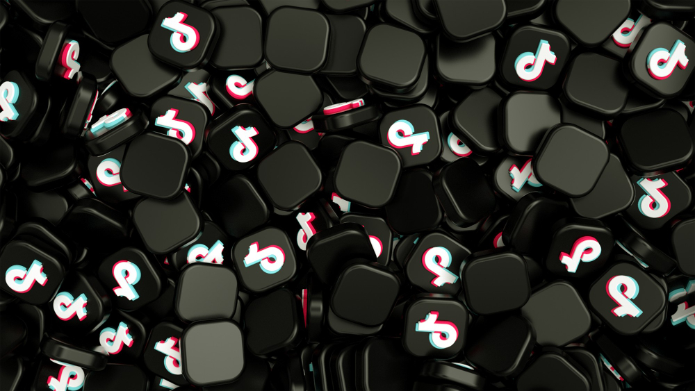 A Complete Guide on TikTok Cooking Vlogs