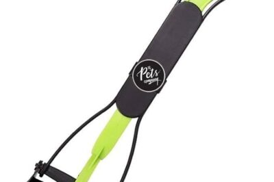 Gogostik: Transforming Pet Care With Smart, Hygienic & Hassle-Free Cleaning Solutions