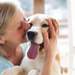 pet aftercare services