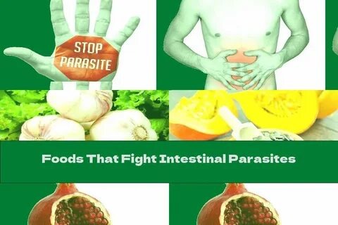 Best Foods to Fight Human Parasites