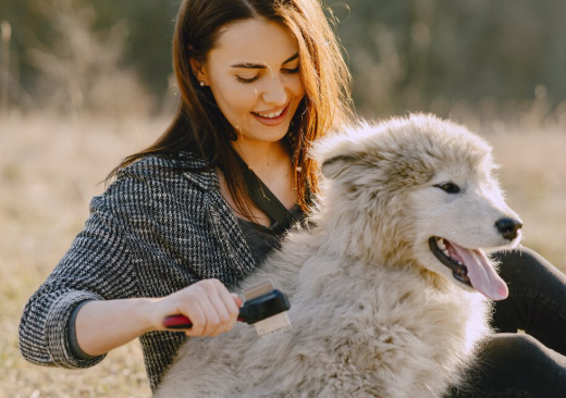 How Home Scents, Sounds, and Memories Bring Comfort in a Pet’s Final Moments