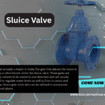 Double-Flanged-Sluice-Valve-Manufacturer