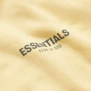 Essentials Hoodie Oversized Comfort Street Style