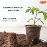 Growing Medium for Plants: What Every Grower Must Know