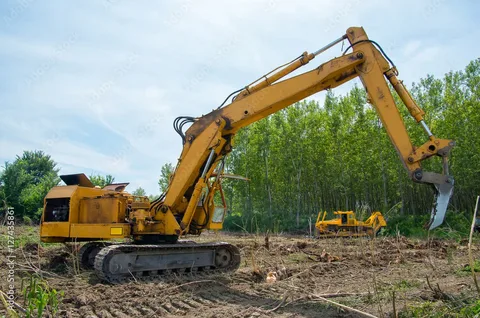 Hinz Logging & Land Clearing