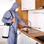 Integrated Pest Management in Lahore for Sustainable Pest Control Solutions