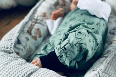 Babynestchen kaufen: Komfort und Sicherheit fΓΌr Ihr Baby