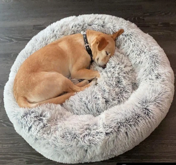 OrthoPlush Pet Bed – Orthopedic Support for Happy Pets