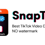 SnapTik Download TikTok Videos For Free Without Watermark