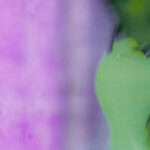 Why Are Essentials Hoodies Trending on Instagram