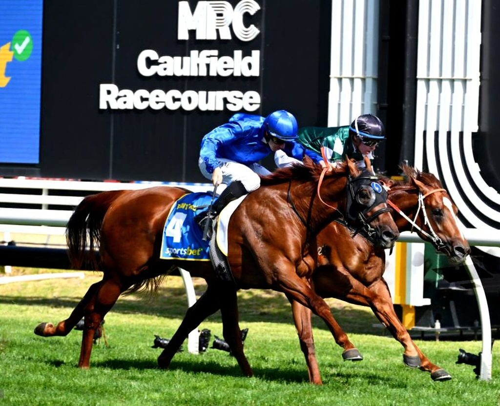 Top Aussie Sports Betting Sites: A Complete Guide for 2025