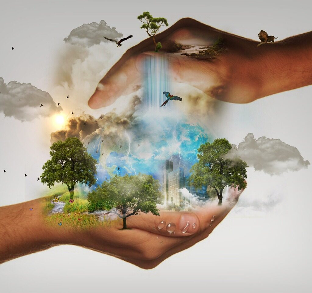 Fiinovation CSR Initiatives