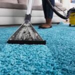 Save Time with Professional Carpet Cleaning Services