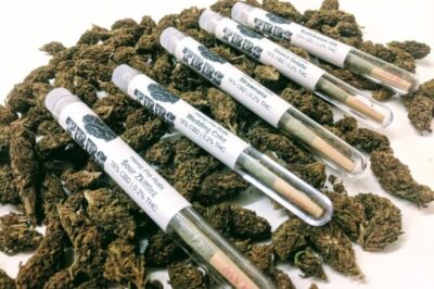 What Is CBD Preroll Packaging and Why Is It So Important for Brands?