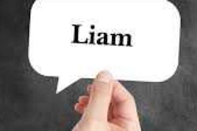 Durable Bull Cutter Knives for Daily Heavy-Duty Tasks