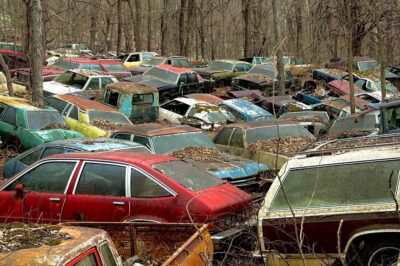 When Famous Cars End Up in Junkyards