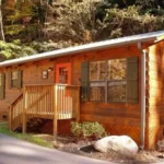 Must-Have Amenities in Pet-Friendly Cabins for a Stress-Free Vacation