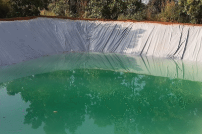 Pond Liner: The Essential Foundation for a Perfect Water Feature