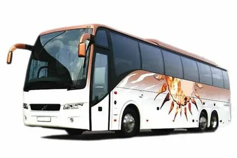 Wedding Minibus Hire