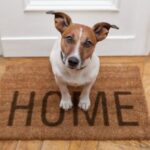 The Truth About Pet Liability: What Every Responsible Owner Needs to Know