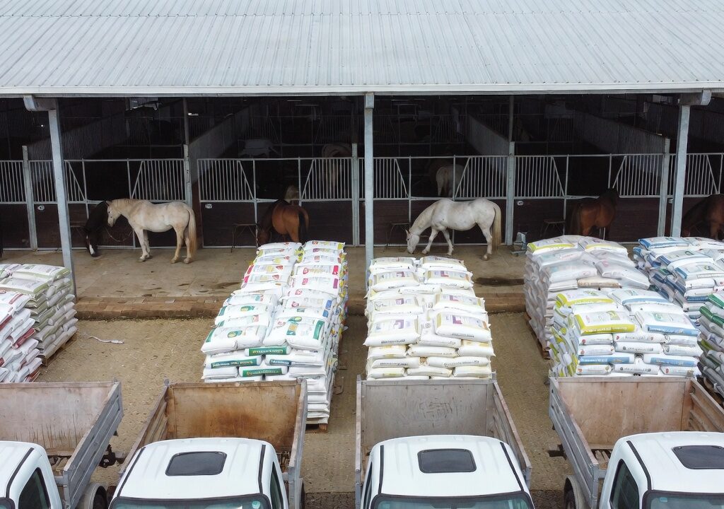 Reliable equine feed supplier delivering consistent, high-quality nutrition to horses at a stable through organized feed storage and distribution.