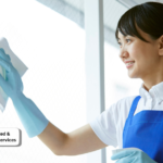 Maid in Jaipur: A Complete Guide to Finding Reliable Home Help