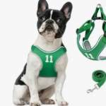 The Ultimate Guide to Choosing the Right Bulldog Harness
