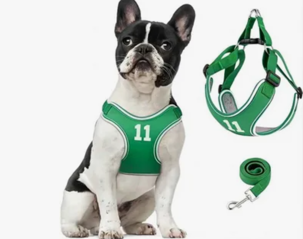 The Ultimate Guide to Choosing the Right Bulldog Harness