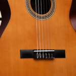 Exploring the Beauty and Sound of the 12 String Acoustic Harp Guitar