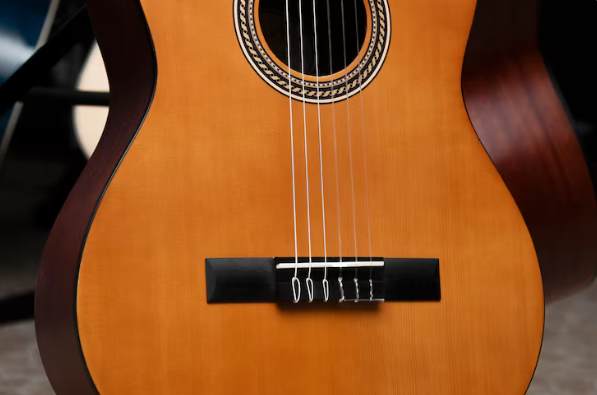 Exploring the Beauty and Sound of the 12 String Acoustic Harp Guitar