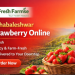 Mahabaleshwar Strawberry Online