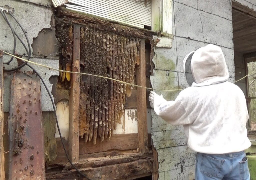 Bee-Safe Landscaping Tips for Allergy Sufferers