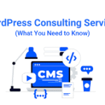 5 Must-Have Plugins for WordPress Success